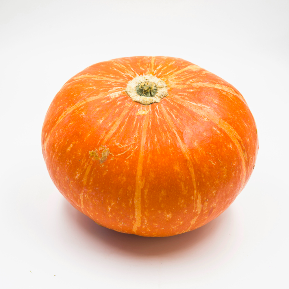Zucca - Laura Romania