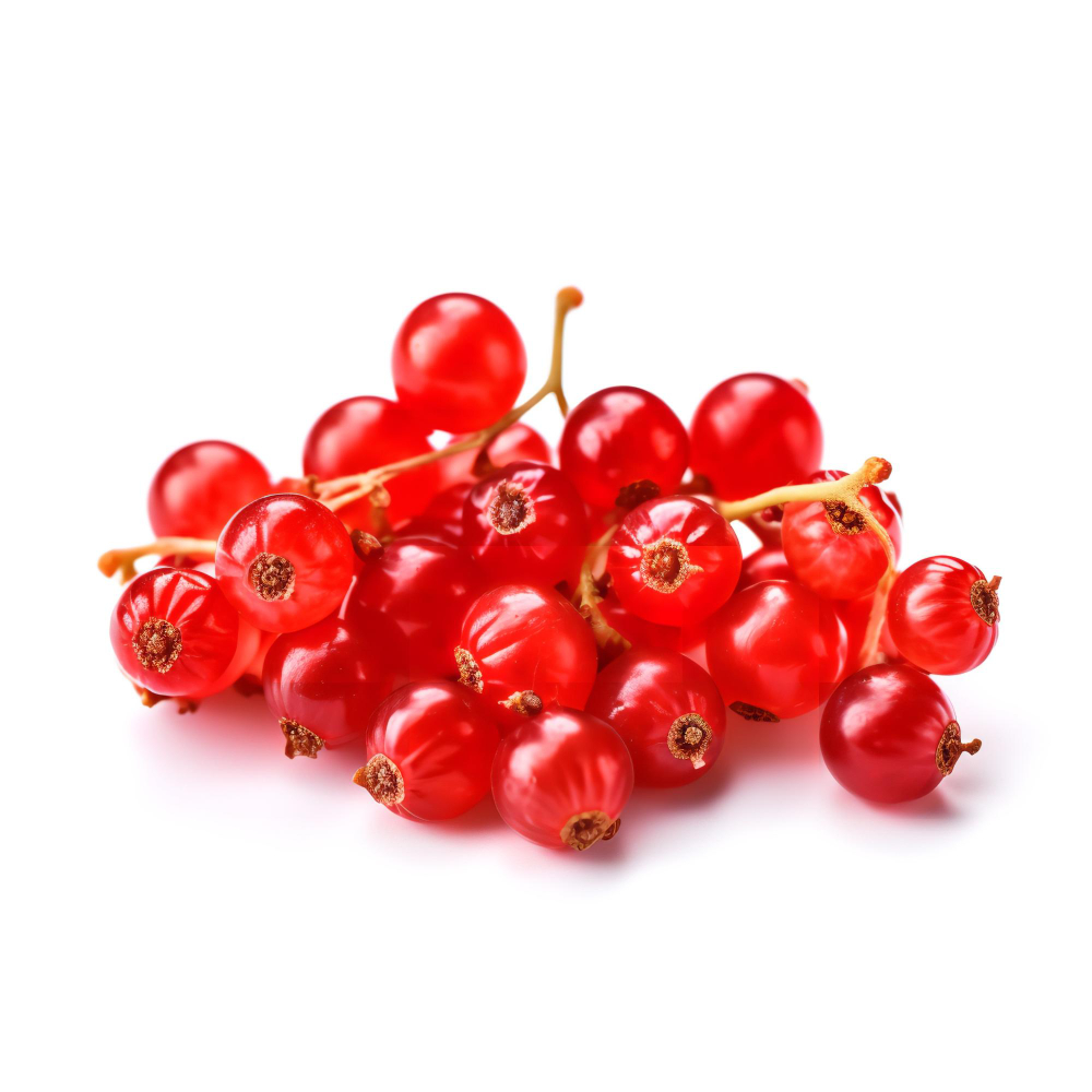Ribes - Il faggio