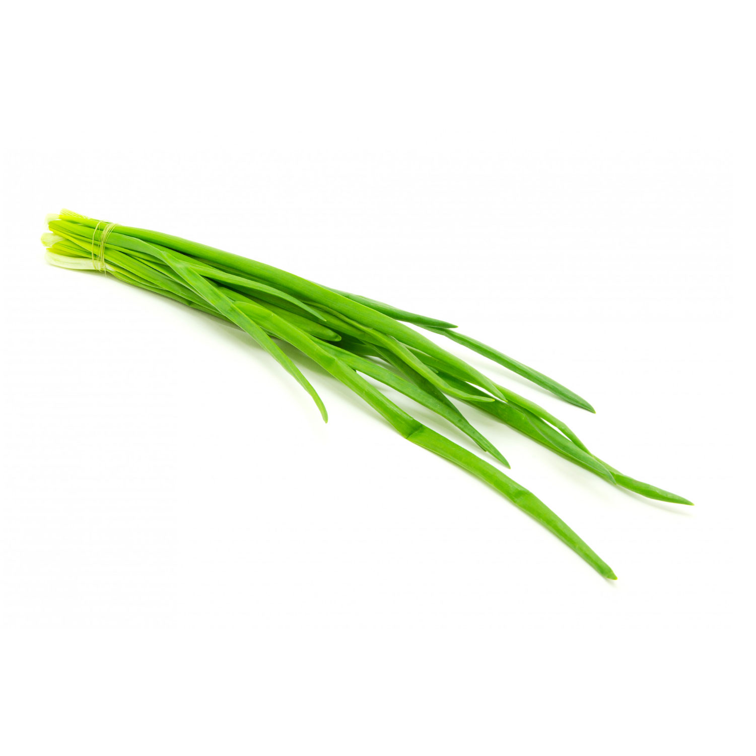 Erba Cipollina - Verdidee Floricoltura