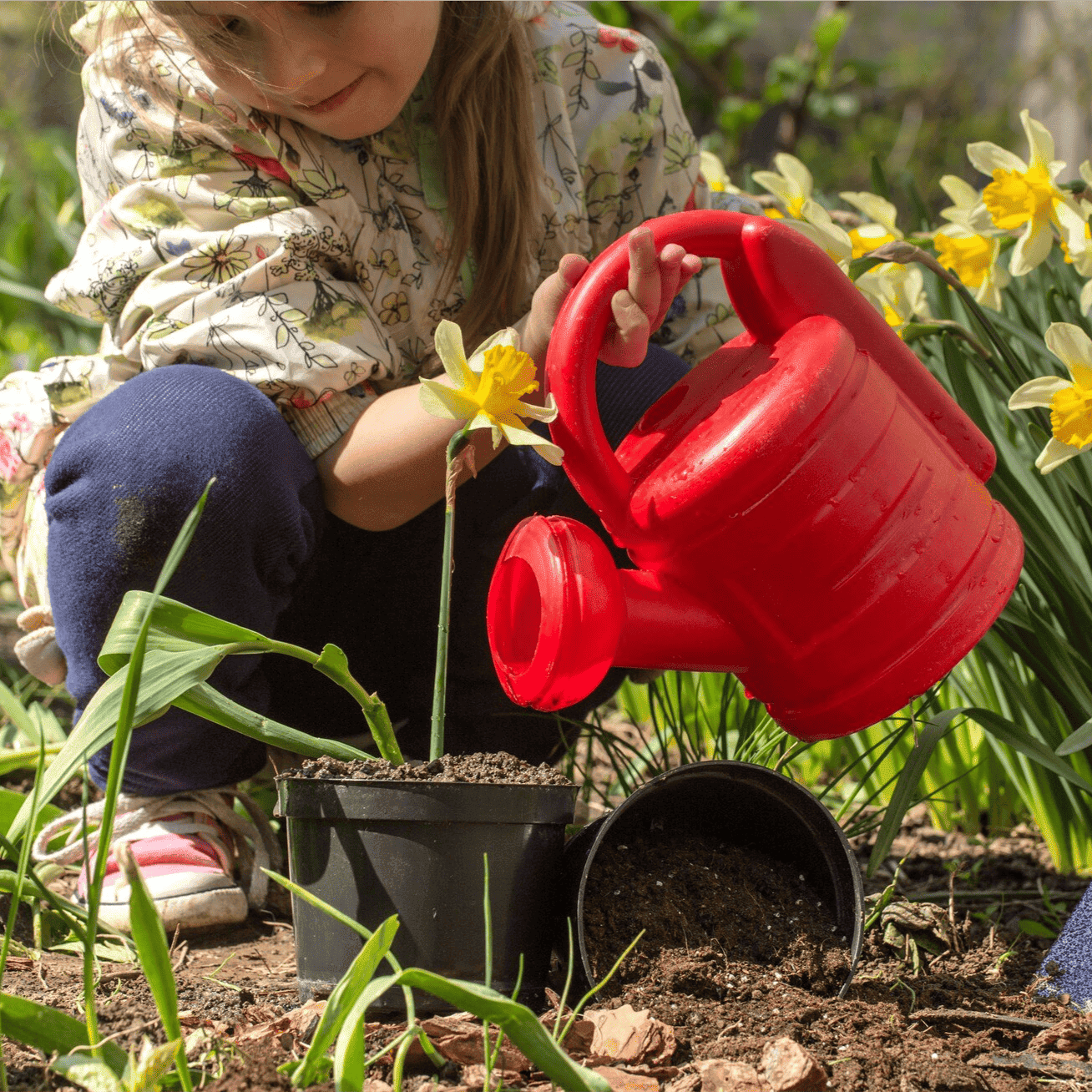 Accessori per il giardinaggio dei più piccoli (kit da giardinaggio) - Il Faggio (demo)