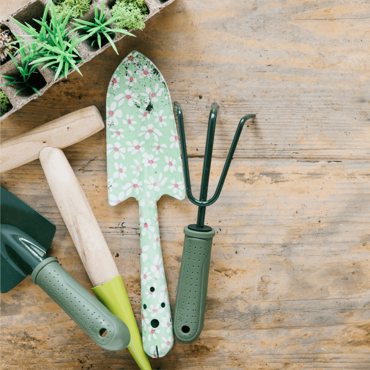 Piccoli attrezzi - GIARDINO BORBONICO DI RUSSO FRANCESCO