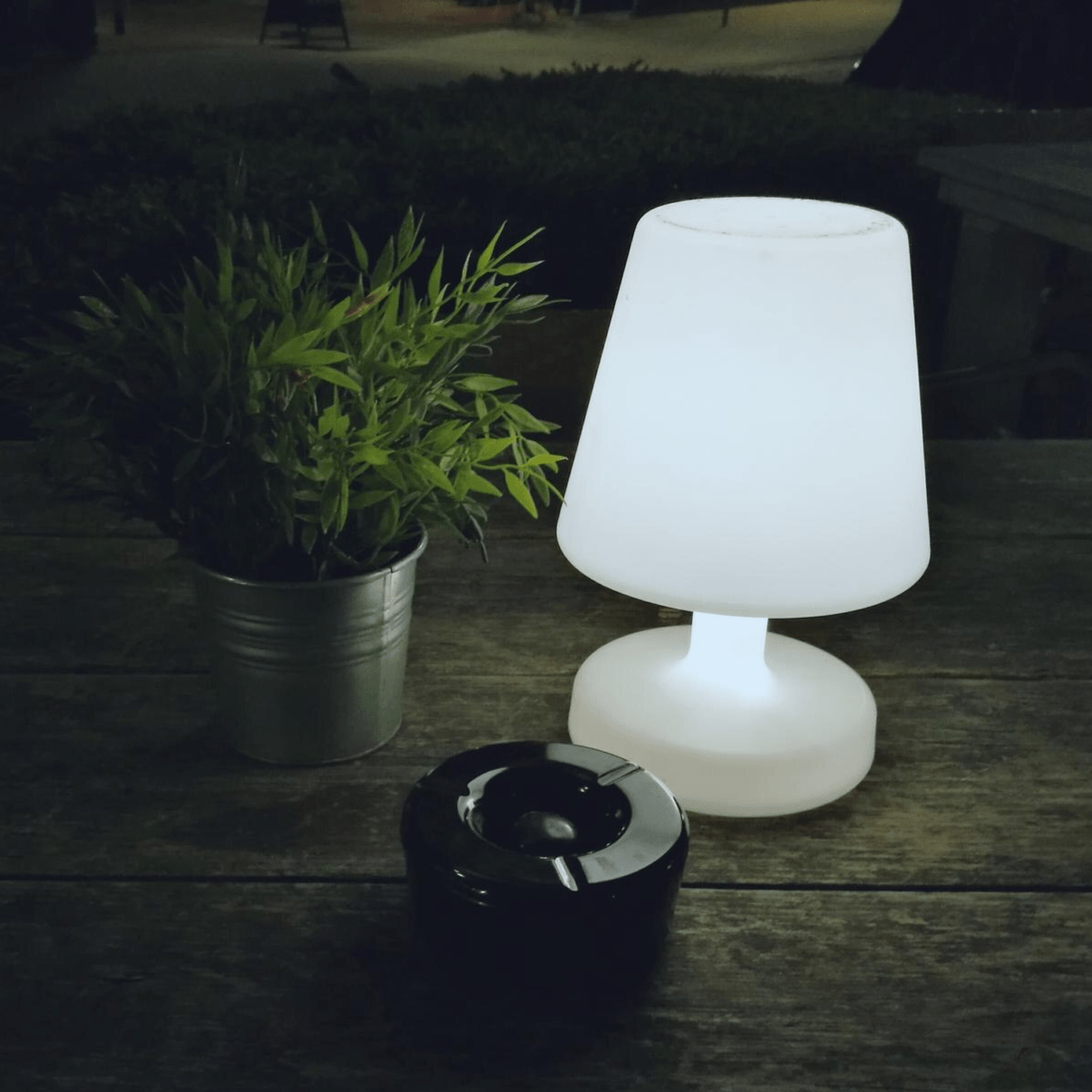 Lampade a batteria - GIARDINO BORBONICO DI RUSSO FRANCESCO