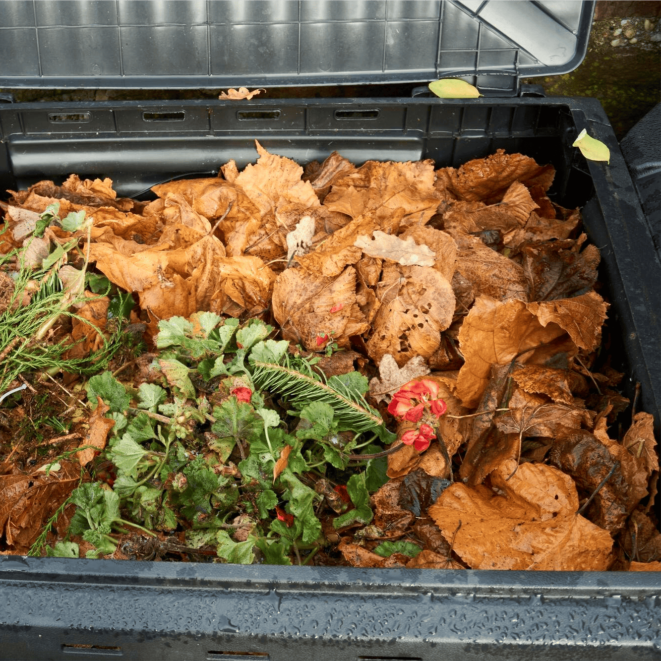 Compostaggio e gestione rifiuti verdi - Il faggio