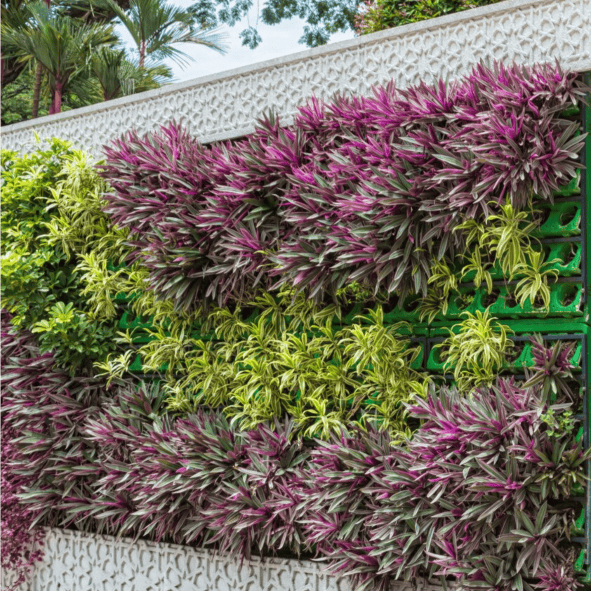 Realizzazione giardini verticali - Bogdan qui non può entrare