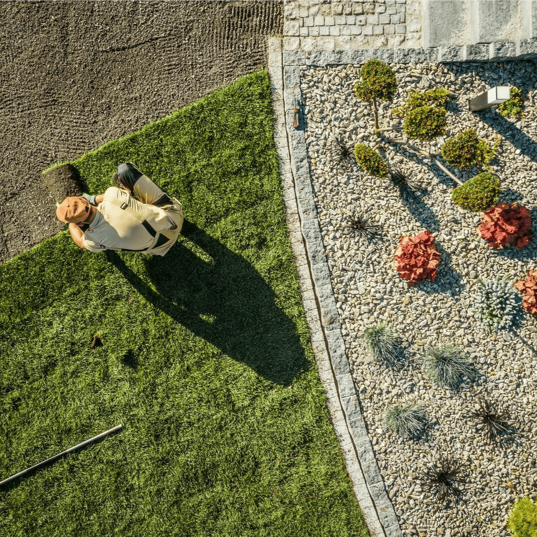 Riprogettazione di giardini esistenti - Il faggio
