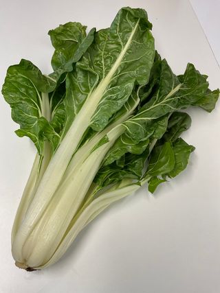 LUSIANA (BELTOSA) - Il faggio