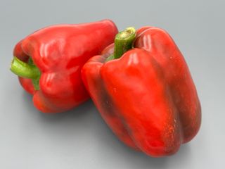 Jolly Rosso F1