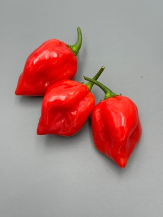 Habanero Red