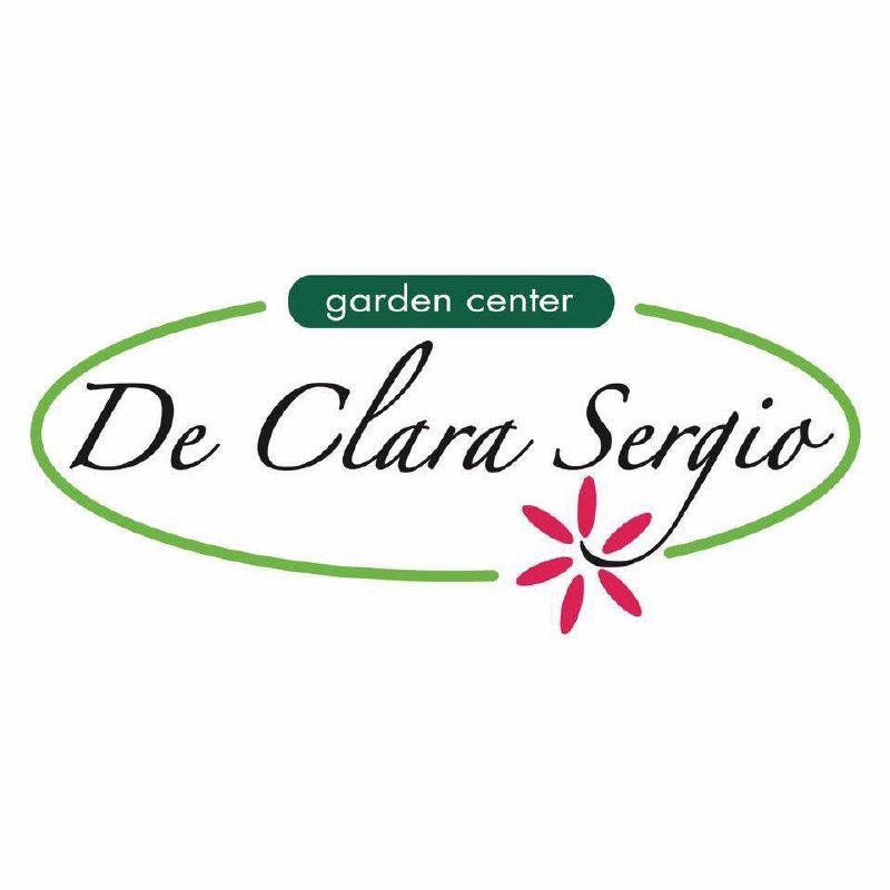 De Clara Sergio