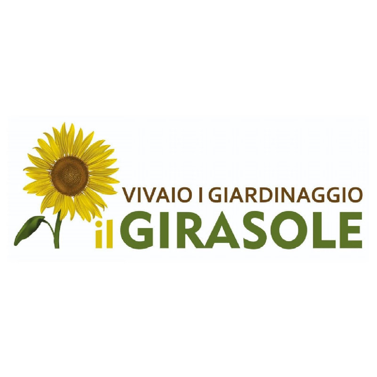 Il Girasole Az.agric.di Castelluccio Mafalda