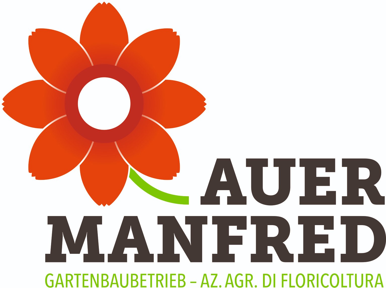 Auer Manfred