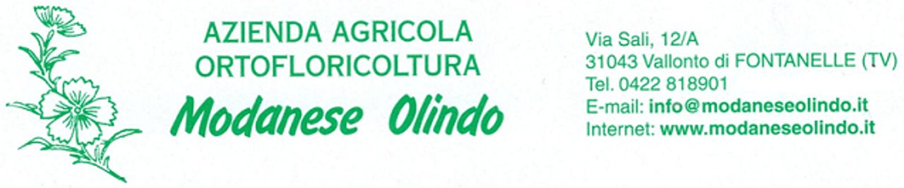 Modanese Olindo