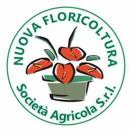 Nuova Floricoltura srl