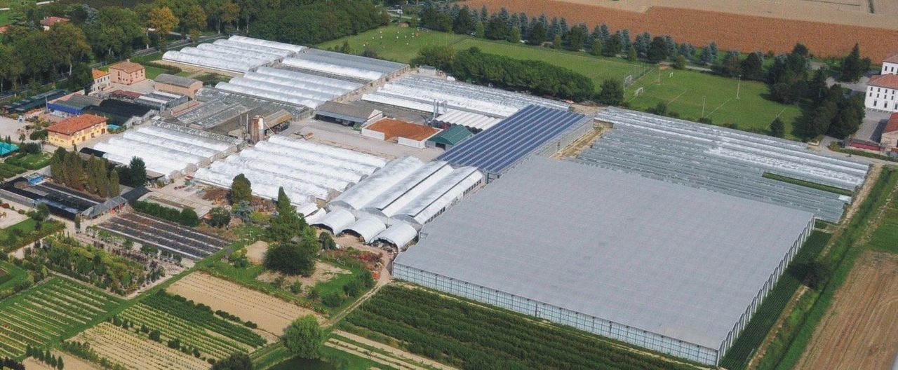 Nuova Floricoltura srl