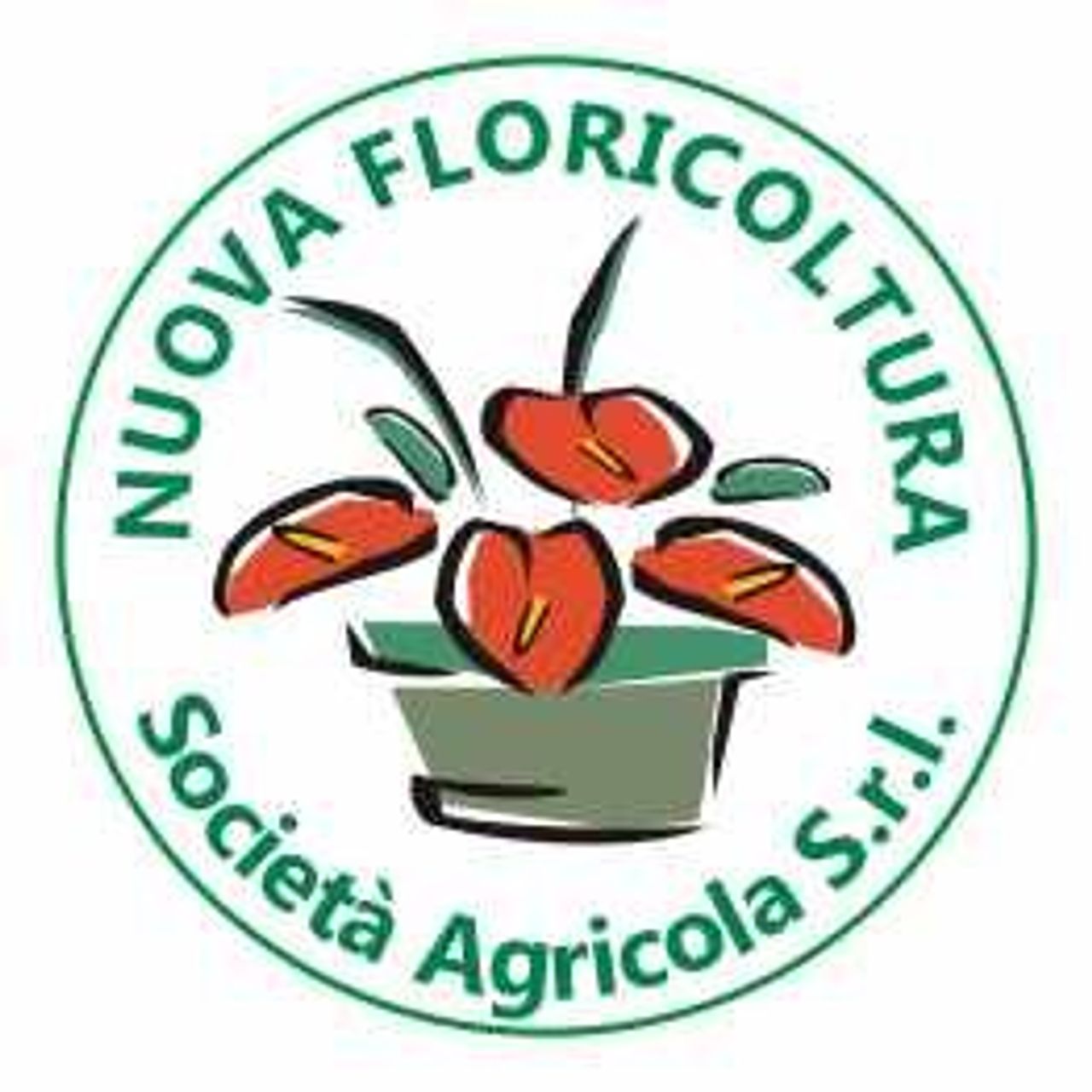 Nuova Floricoltura srl