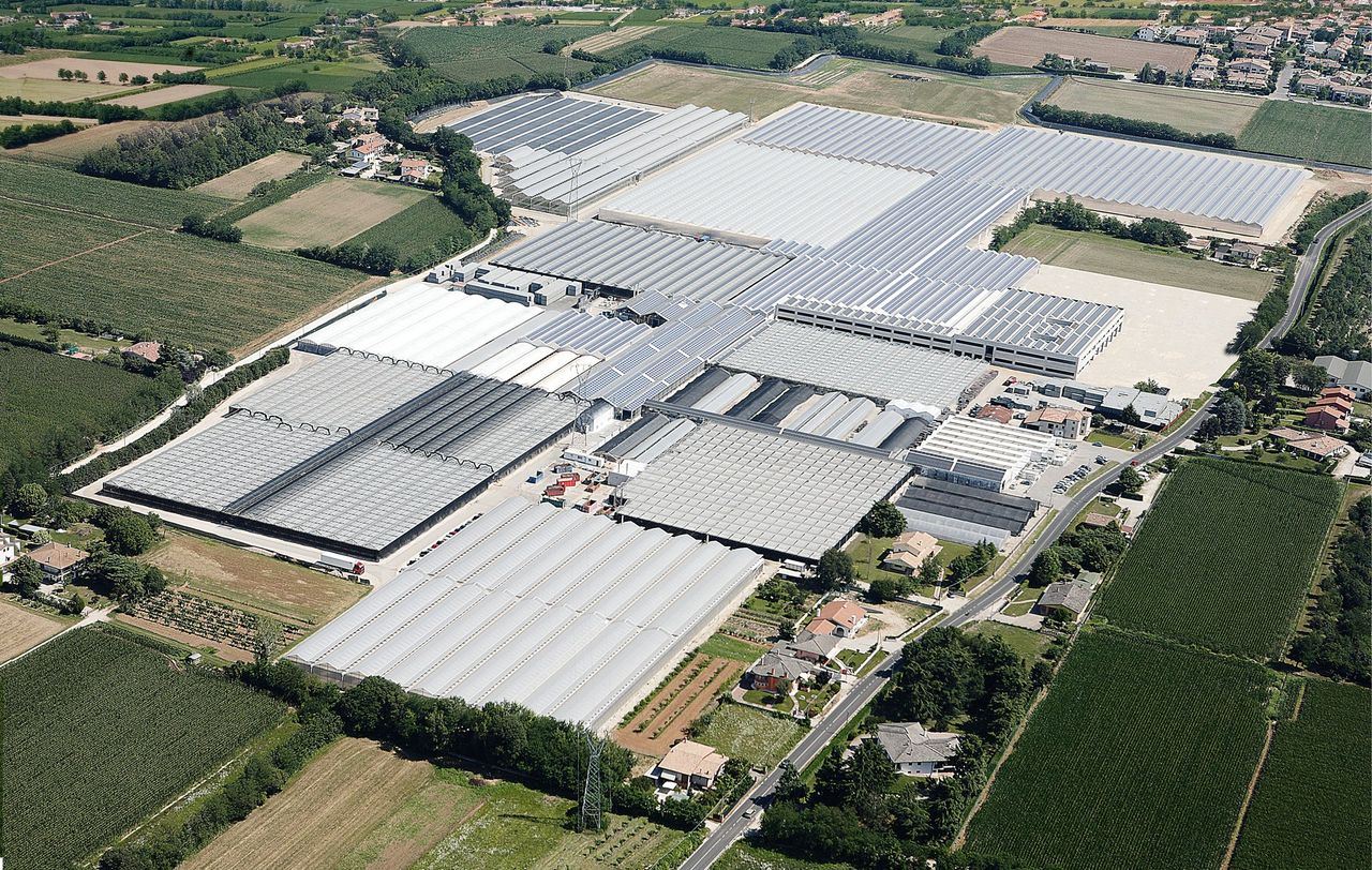 Gruppo Padana s.s.