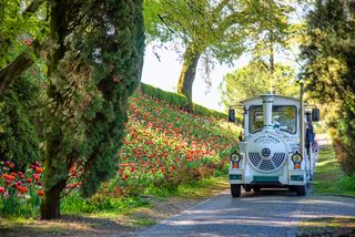 Visita in trenino panoramico - Parco Giardino Sigurtà