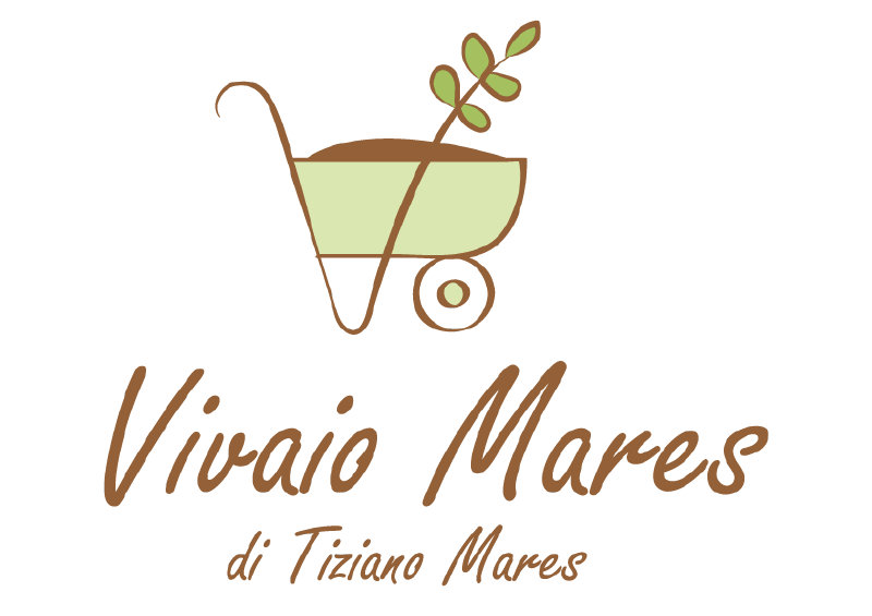 Azienda Agricola - Vivaio Mares Tiziano