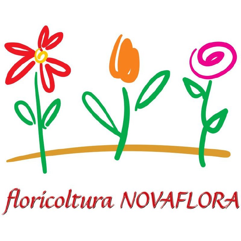 Floricoltura Novaflora