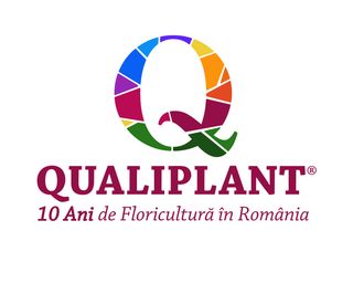 DIPLADENIA WHITE DARK LIFE (GPMAN 1104-45) - Qualiplant
