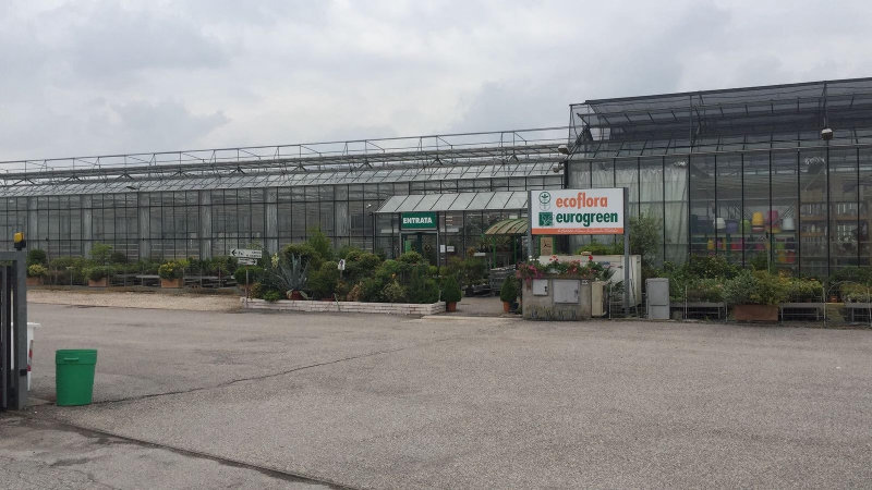 SOCIETA' AGRICOLA ECOFLORA DI BALDELLI GIULIA E BALDELLI FILIPPO S.S.