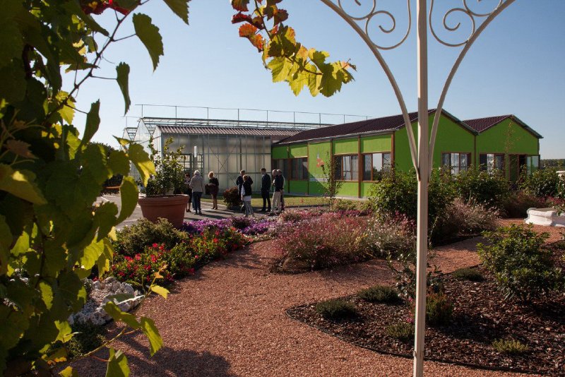 SOCIETA' AGRICOLA ECOFLORA DI BALDELLI GIULIA E BALDELLI FILIPPO S.S.