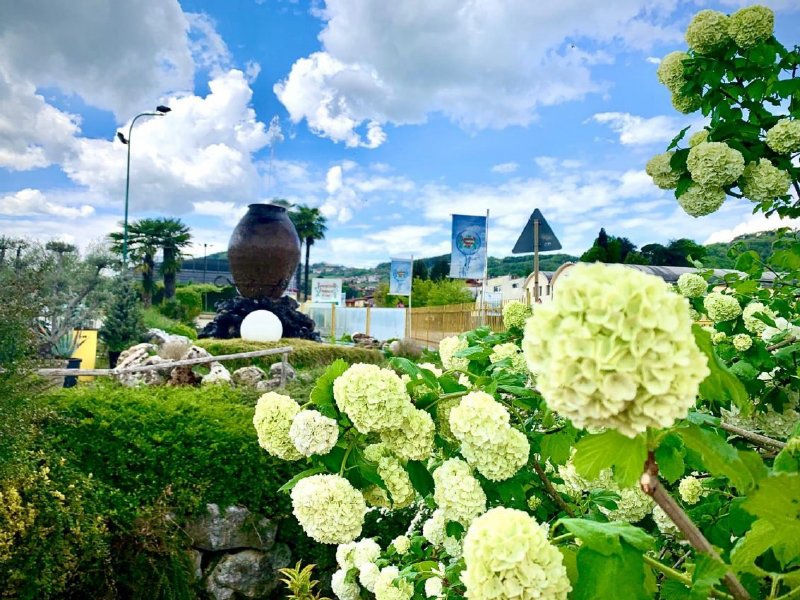 Azienda agricola Badrante