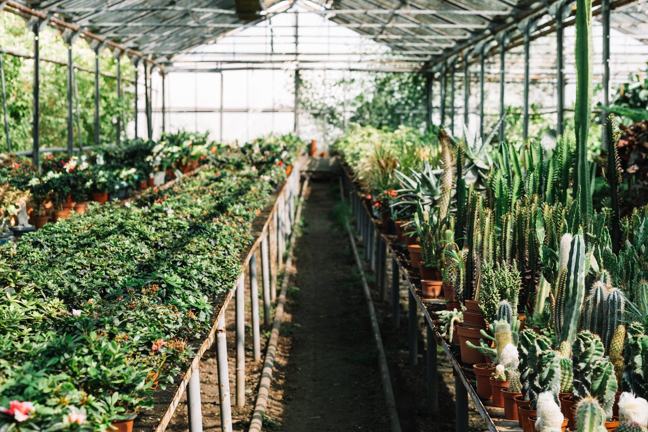 Il Faggio - Garden Center